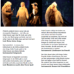 CD-Booklet Dodo - Seite 15